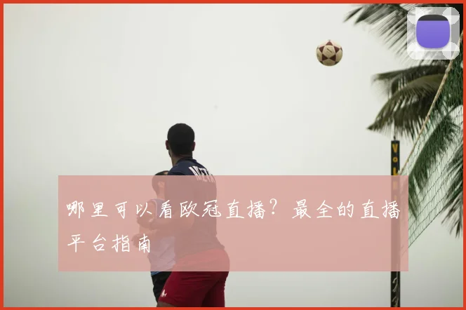 哪里可以看欧冠直播？最全的直播平台指南