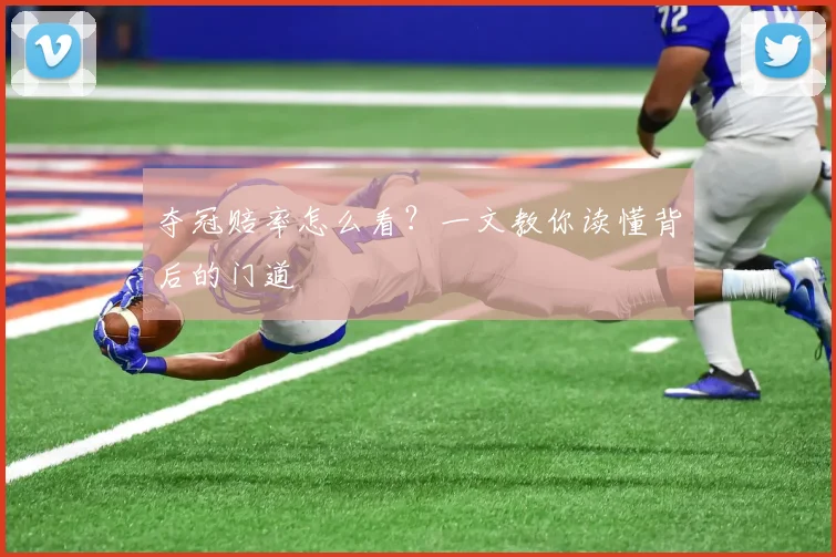 夺冠赔率怎么看？一文教你读懂背后的门道